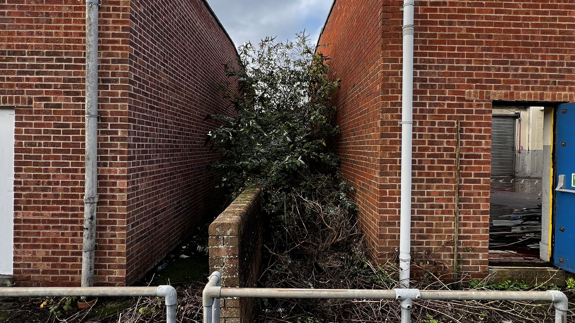 Who Should You Contact First — The Council, a Surveyor, or Your Neighbour Dartford?
